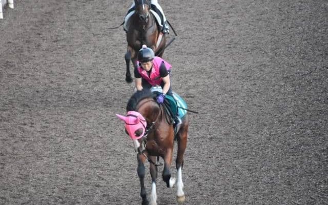 祖母はアイルランド重賞2勝リブーストが川田将雅騎手でデビュー/関西馬メイクデビュー情報