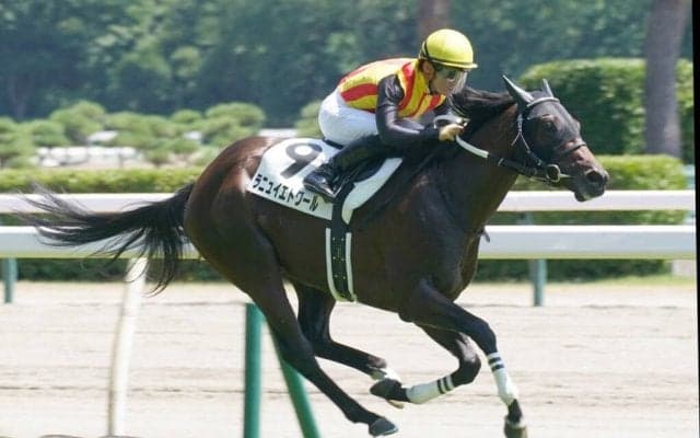 【新馬/新潟5R】ノヴェリスト産駒 ラニュイエトワールがデビューV