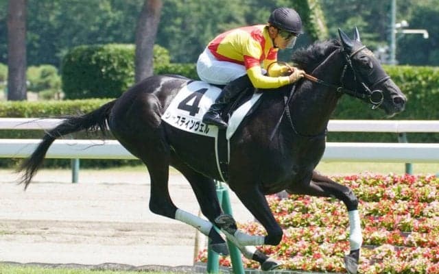 【新馬/新潟6R】ドゥラメンテ産駒 ジャスティンヴェルが5馬身差圧勝