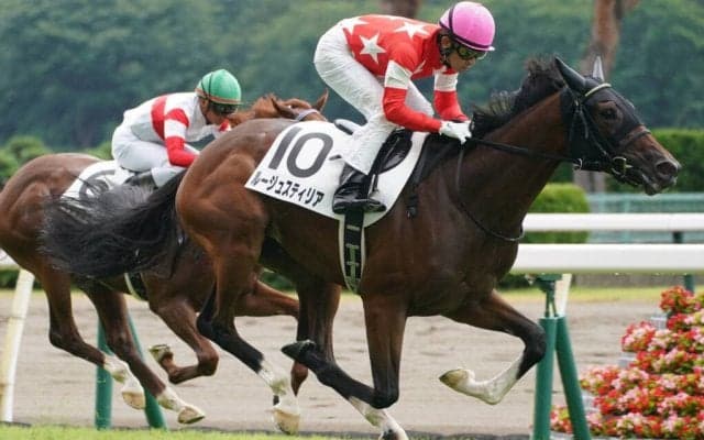 【新馬/新潟5R】断然人気 ルージュスティリアがデビュV