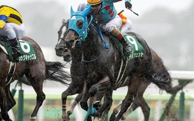 これぞ「血統の成せる業」　GI馬半姉の母から良血継ぐテルツェット