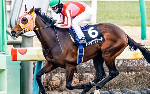 【エルムS予想】ダート界期待の怪物はケイティブレイブら実績馬に引導を渡せるか AIのジャッジは？/JRA重賞レース展望