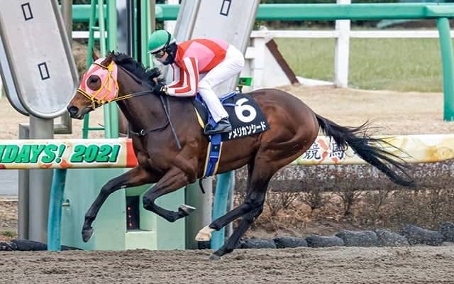 【エルムS想定騎手】アメリカンシードはC.ルメール騎手、ソリストサンダーは戸崎圭太騎手