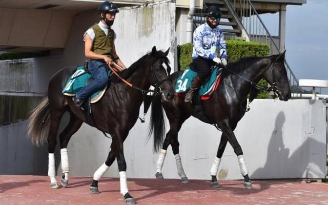 サンライズロナウドなど、先週のゲート試験/栗東トレセンニュース