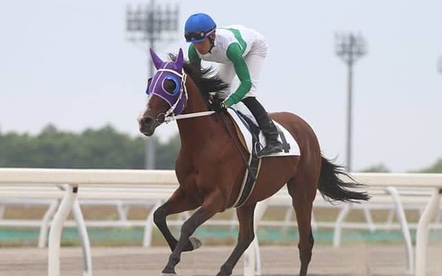 “7歳デビュー馬”と”10歳未勝利馬”が対決！ 最後のトウカイテイオー産駒、初勝利なるか？