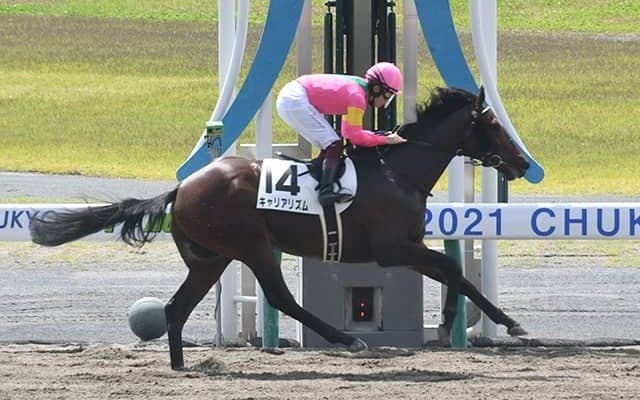 【レパードS予想オッズ】キャリアリズムが予想1番人気も上位人気は混戦