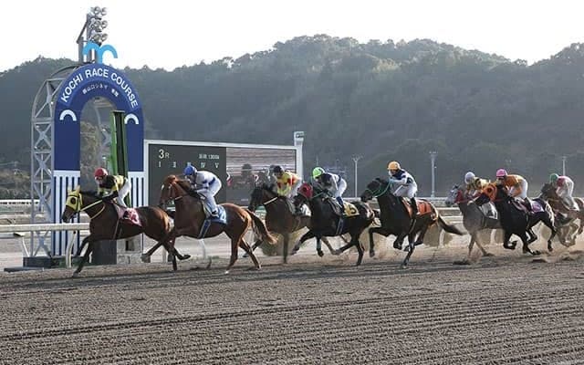 “ステイホーム需要”も落ち着き傾向に　地方競馬に求められる新たな展開