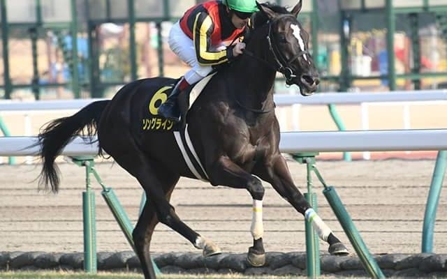 【関屋記念想定】NHKマイルC2着ソングライン、中京記念覇者アンドラステなど