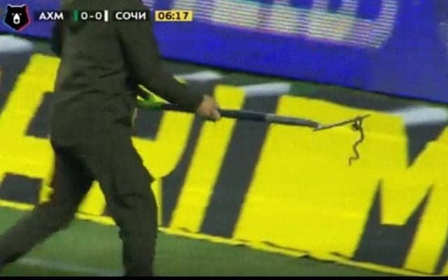 ロシアのピッチに“珍客”現る…GKの表情が一変し試合が一時中断