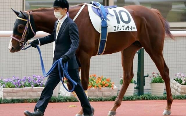 【門別競馬情報】得意の短距離に戻し勝利つかむかスティールグレート！JRAから転入5戦4勝コパノフレディーほか上位人気候補そろって外枠に「コロナに負けるな！日高町特別」/地方競馬情報