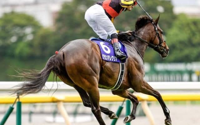 2021年上半期JPNサラブレッドランキングが発表　全体トップはグランアレグリア