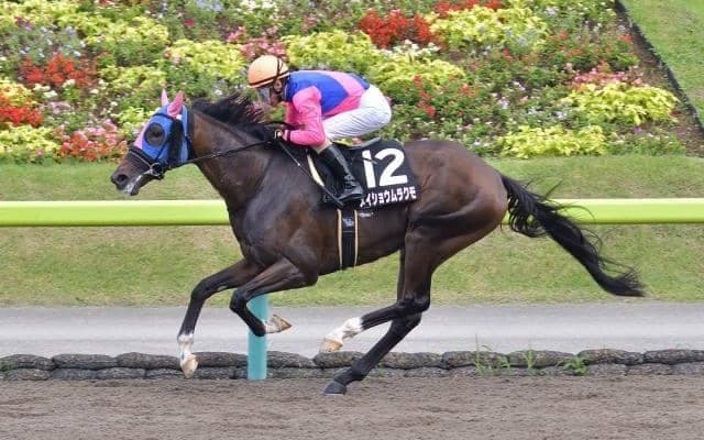 【レパードS】出馬確定　メイショウムラクモ＆柴田善臣、オセアダイナスティ＆川田将雅など15頭