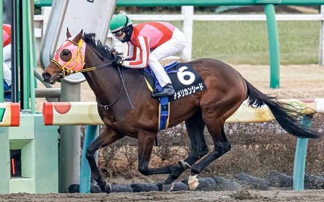 【エルムS】アメリカンシード　陰も踏ませぬ逃走劇で重賞初制覇へ