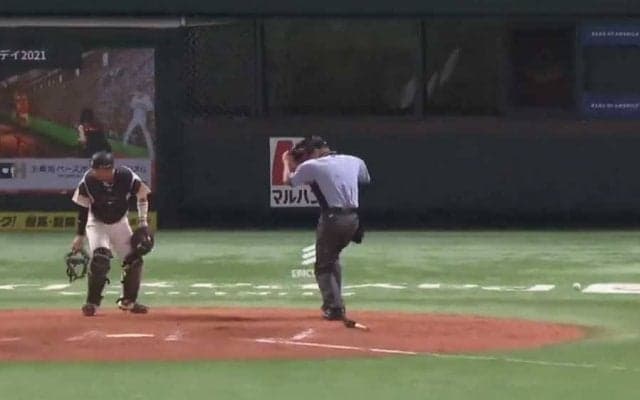 ボールが消えた“真夏の怪奇現象”　捕手大騒ぎの光景が「こわいなー、こわいなー」