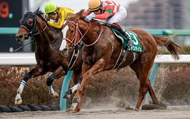 【盛岡・クラスターC枠順確定】ジャスティンは3枠4番、リュウノユキナは5枠8番