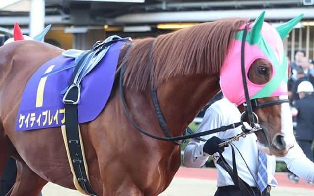 【エルムS】ダート王ケイティブレイブ復活なるか　転厩初戦＆1年以上の休み明け