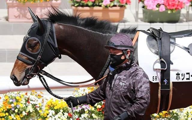 【レパードS】ホッコーハナミチは重賞初制覇を狙う　この1戦から父の活躍に続けるか