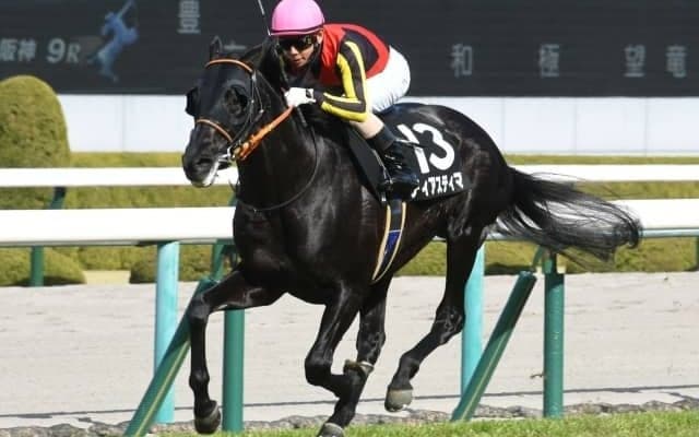 【本日の注目ポイント】函館で札幌日経オープン、新潟で2歳OP・ダリア賞