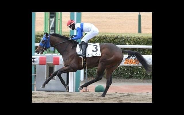 レパードＳは直近の戦績に惑わされるな。穴党記者が推す人気の盲点となる３頭