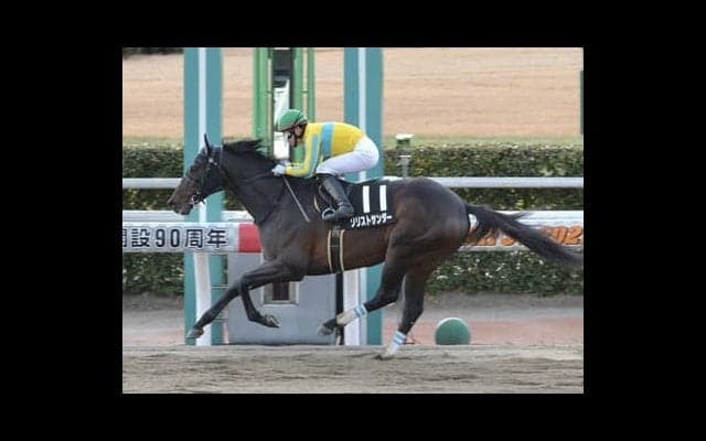 エルムＳは、ダート1700ｍが得意な６歳馬２頭に注目。血統からも好走の予感