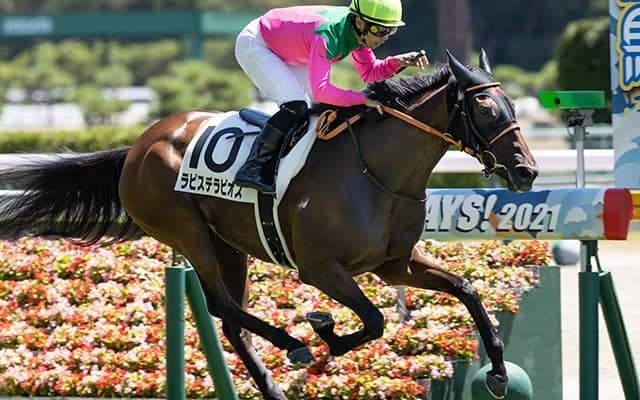 【新潟4R・3歳未勝利】3連単1000万馬券！藤田菜七子騎手が大波乱演出