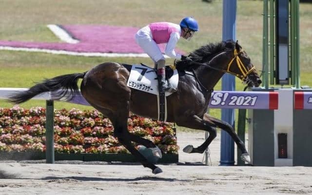 【新潟6R新馬戦結果】7番人気ビヨンドザファザーが突き抜けて圧勝