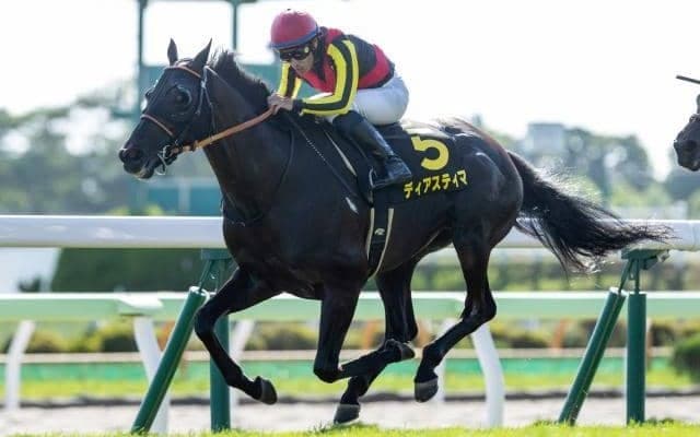 【札幌日経OP結果】ディアスティマが逃げ切りオープン初V