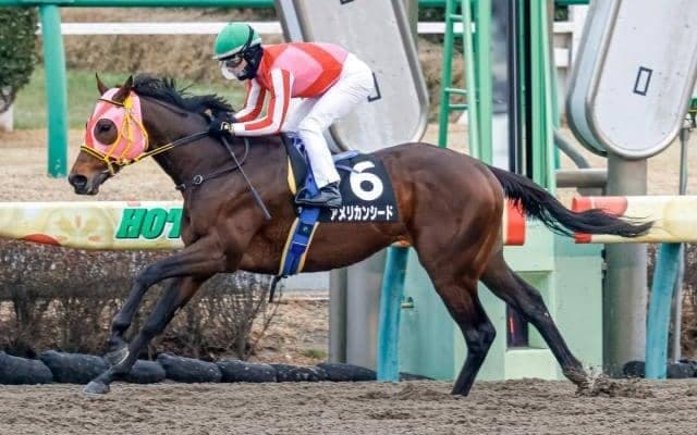 【エルムS前日オッズ】アメリカンシードが3.1倍で1番人気