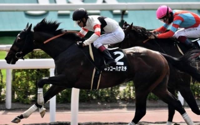 【レパードS予想】将来まで楽しみな世代屈指の出世レース