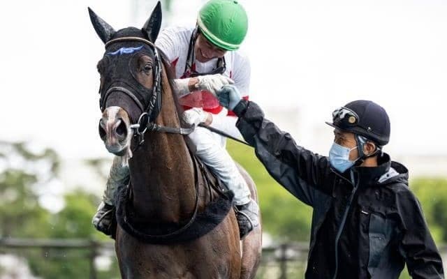 【エルムS予想】秋に飛躍を期す馬たちが集う真夏のダート王決定戦