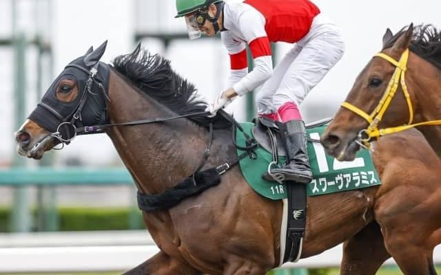 【エルムS予想】北海道ダートシリーズ好走馬は再度走る！人気サイドと中穴押さえで馬券を組め！