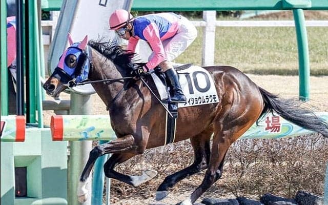【レパードS・馬体重】メイショウムラクモは482kg(+12)、ホッコーハナミチは472kg(+8)