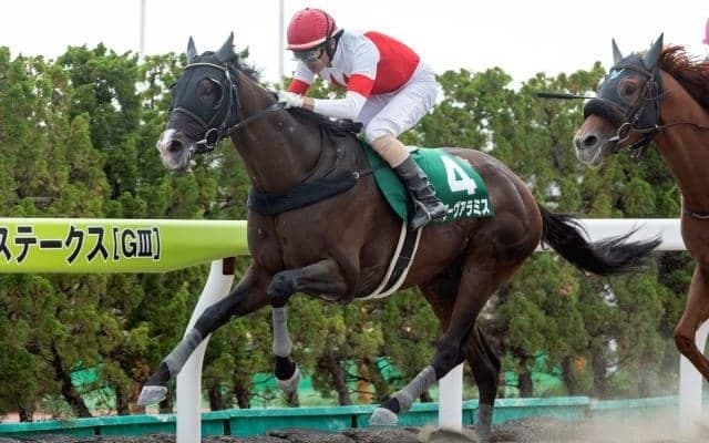 【エルムS結果】スワーヴアラミスが抜け出し重賞2勝目