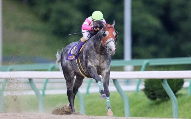 【クラスターC】柴田善臣が連日の重賞V！リュウノユキナが抜け出す