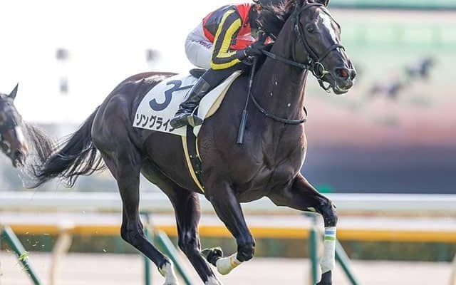 【関屋記念想定騎手】ソングラインは池添謙一騎手、アンドラステは岩田望来騎手