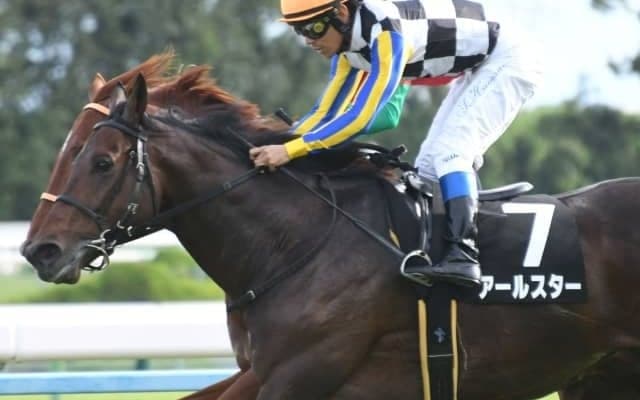 【小倉記念展望】小回りにしては差し馬の台頭が多い一戦