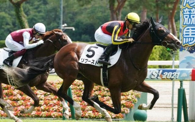 【新馬/新潟5R】ハービンジャー産駒 リブーストがデビューV