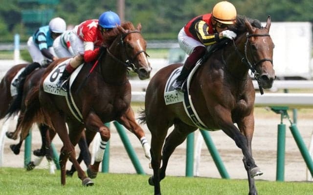 【新馬/新潟6R】ステルヴィオ全妹 ステルナティーアがデビューV