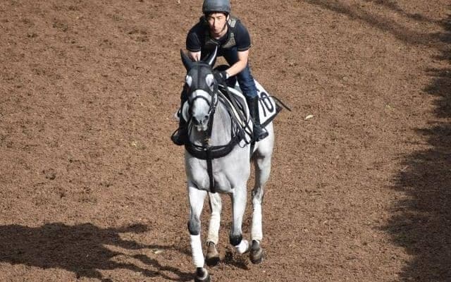 カレンモエなど、先週の入厩情報/栗東トレセンニュース