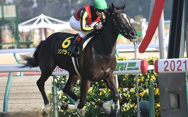 【関屋記念予想オッズ】ソングラインが単勝1.8倍で予想1番人気に