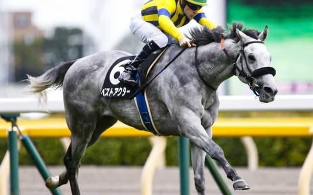 【関屋記念予想】前走大敗からの巻返しある！ AIはキャリア浅めのベテランを激穴候補に指名/JRA重賞レース展望