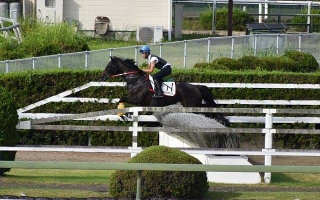 アメリカズカップ、障害参戦に向けて調整中/栗東トレセンニュース