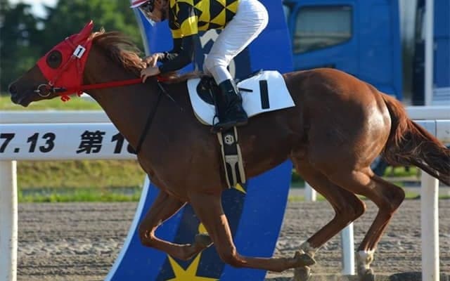 【門別競馬情報】無敗馬3頭、2勝馬も4頭のハイレベルな争い！先行するアマクミナイデヨ、スティールルージュらが押し切るか。先行激化で追い込み勢の台頭も「第8回フルールカップH3」/地方競馬情報