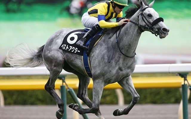 【AI予想】大穴を狙う前提での予想は得策でない関屋記念　AI指名馬の懸念材料は？