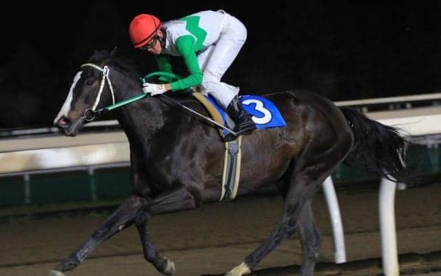 【門別競馬情報】今夜はダブル重賞！マルシュロレーヌ中心にJRA勢の争いか「第33回ブリーダーズゴールドカップJpnIII」。そして最終12Rはトップスプリンターほぼ勢揃い「第21回エトワール賞H3」/地方競馬情報