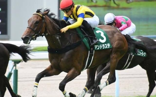【関屋記念】出馬確定　ソングライン＆池添謙一、アンドラステ＆岩田望来など18頭