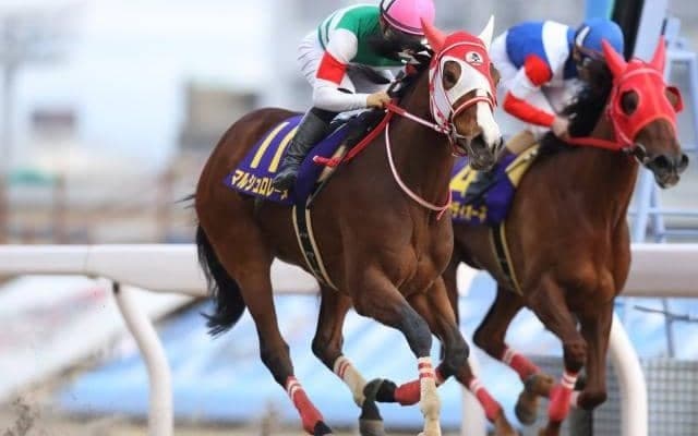 【ブリーダーズGC 18時時点オッズ】マルシュロレーヌが単勝1.7倍で1番人気、メモリーコウが2.8倍で続く
