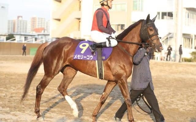 【ブリーダーズGC 馬体重】メモリーコウは470kg(-2)、アッシェンプッテルは512kg(-10)