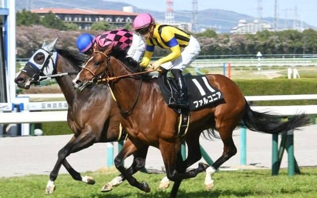 【小倉記念枠順確定】ファルコニアは2枠2番、ヴェロックスは7枠8番