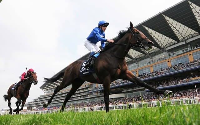 英のアダイヤーが世界ランク首位タイに、ダービーに続き3歳でキングジョージも制覇